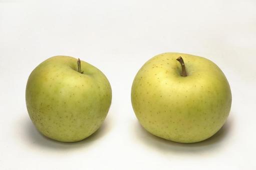 りんご　ときの写真