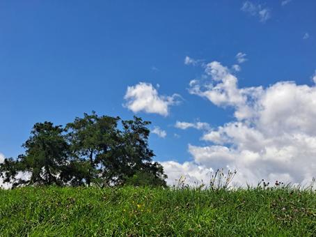 河川敷２ 空,草,土手の写真素材