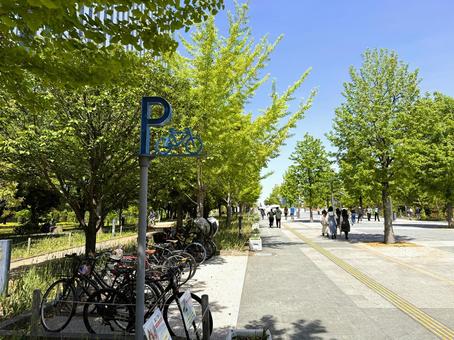 お台場周辺の街並み お台場周辺の街並み 東京都,青海,駐車場の写真素材