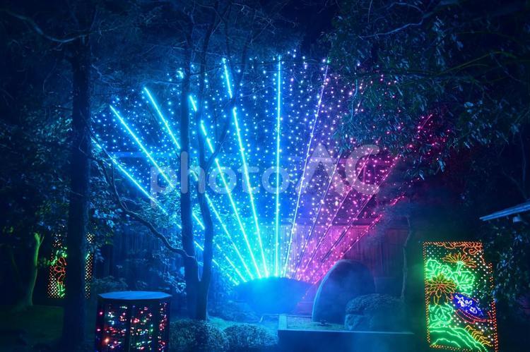 島根　由志園　イルミネーション 夜,ライトアップ,庭園の写真素材