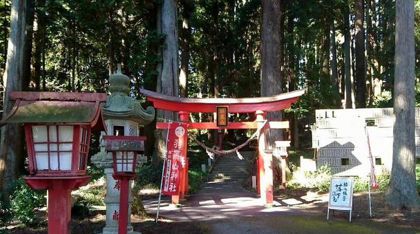 神社の境内 神社の境内の写真