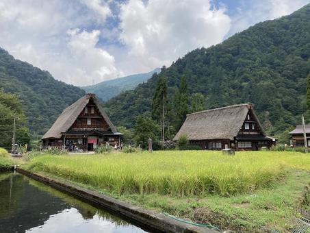 五箇山・菅沼集落② 五箇山,菅沼集落,菅沼の写真素材