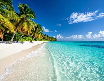 白浜と海の風景 白浜と海の風景の写真