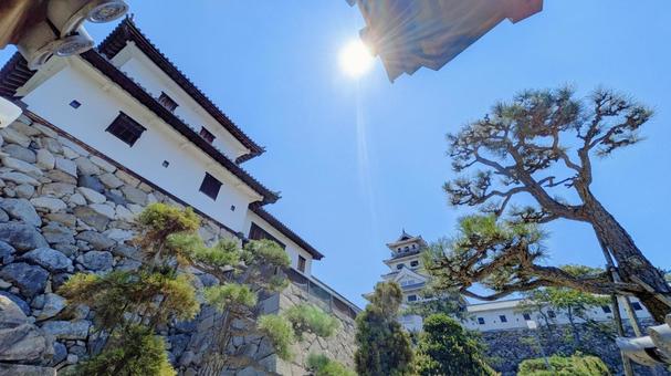 今治城-134 今治城-134の写真