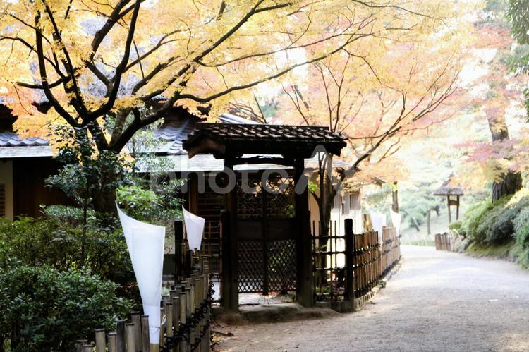 香川県・栗林公園 ビル,ベンチ,光の写真素材