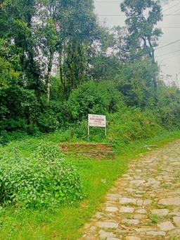 オーストラリアンキャンプへの道　ネパール goldanda,ゴルダンダ,道案内の写真素材