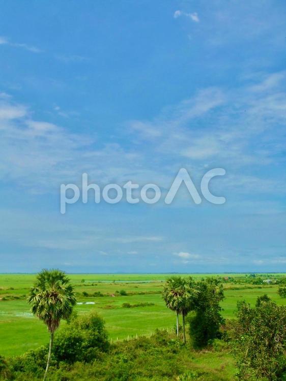 カンボジアの田舎の風景_3 カンボジア,アジア,懐かしいの写真素材