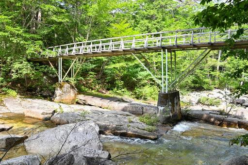 Photo, akazawa natural recreation forest, japan&#39;s three major forests, akazawa forest railway, 