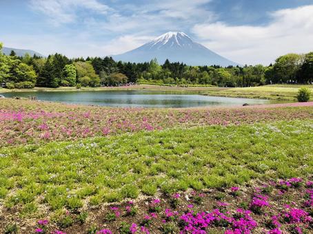 池と富士山 池と富士山の写真