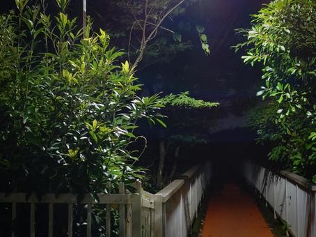 暗闇の歩道橋 暗闇の歩道橋の写真