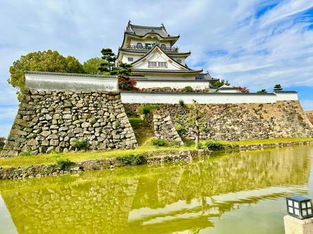 岸和田城 大阪,大阪府,岸和田の写真素材