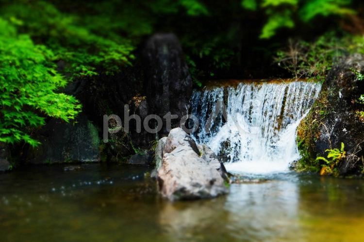 滝 滝,日本庭園,池の写真素材