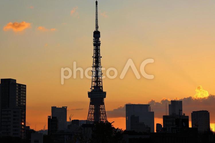 １１月上旬の六本木からの早朝の東京タワー 背景,東京タワー,タワーの写真素材