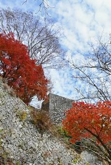 大分県竹田市_岡城址_大手門石垣_秋 大分県竹田市_岡城址_大手門石垣_秋の写真