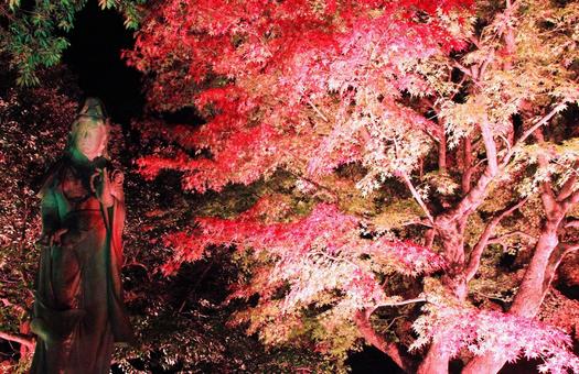 夜の紅葉のライトアップと銅像/由志園 紅葉,もみじ,夜の写真素材