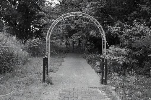 木場公園 木場公園の写真