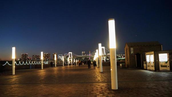 冬のお台場・遊歩道の街明り（東京都） 冬,お台場,夜景の写真素材