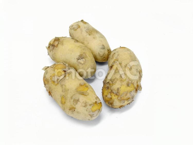 熊本県産メークイン1 じゃがいも,メークイン,野菜の写真素材