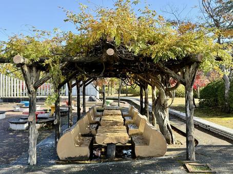 秋の昼間　福井少年運動公園 秋の昼間,福井少年運動公園,ベンチの写真素材