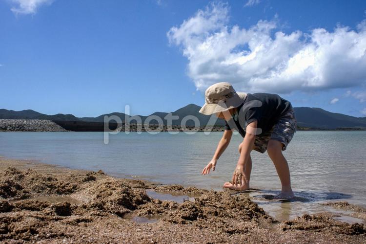 ※＜素材＞夏の海水浴場で遊ぶ子供と青空 子供,男性,人物の写真素材