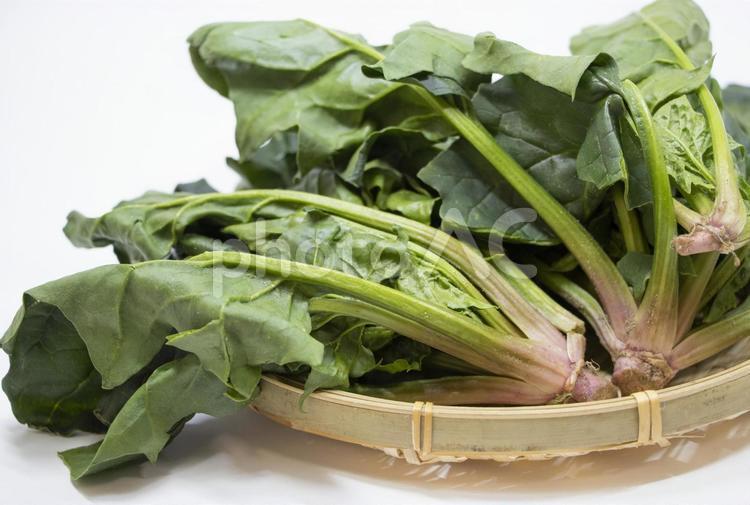 紀州てまり野菜 ほうれん草 紀州てまり野菜,ほうれん草,野菜の写真素材