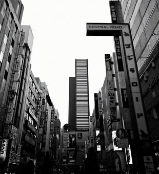 新宿の風景 新宿,東京,街並みの写真素材