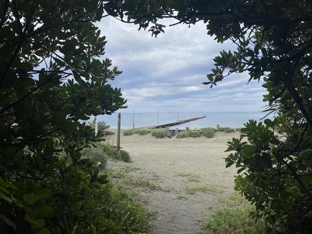 原岡桟橋 原岡桟橋,岡本桟橋,海の写真素材