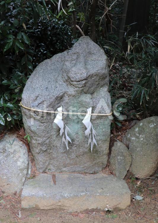 飛鳥坐神社　猿石 飛鳥坐神社,あすかにいますじんじゃ,猿石の写真素材