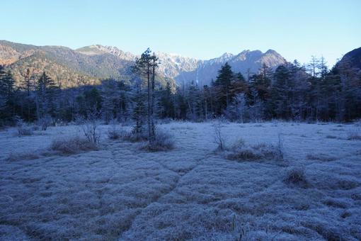 湿原の朝 湿原の朝の写真