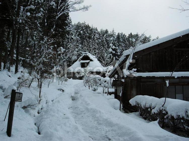 高山　飛騨の里 飛騨,高山,雪の写真素材