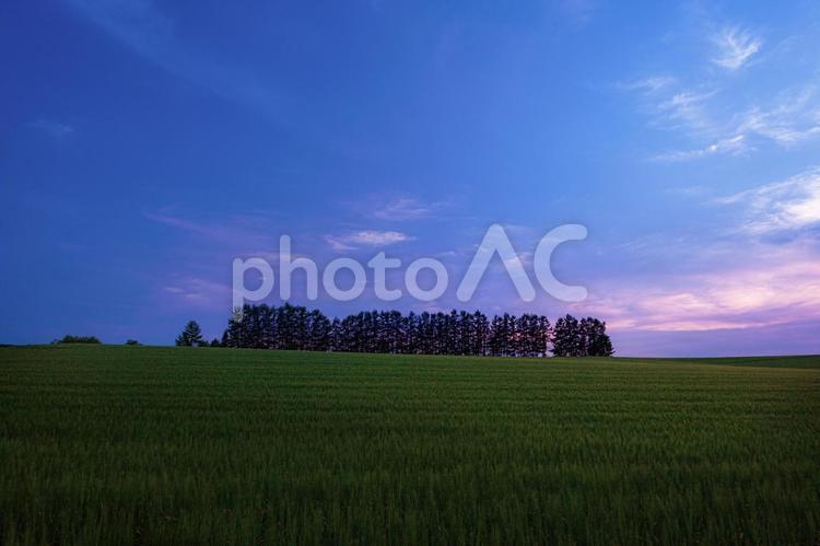 北海道・美瑛町 夏の丘の夕景 北海道,日本,絶景の写真素材