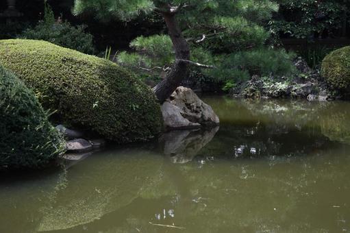 池のある庭園 池のある庭園の写真