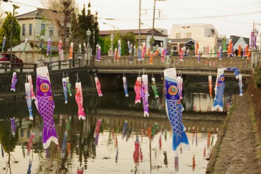 川と小鯉のぼり 鯉のぼり,川,栃木県の写真素材