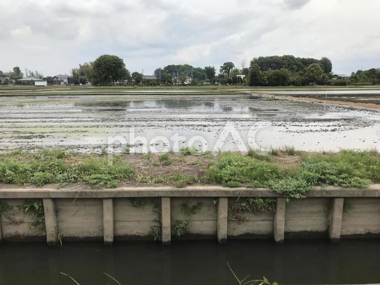 田植え前の水田よう 用水路 農業,農家,用水路の写真素材