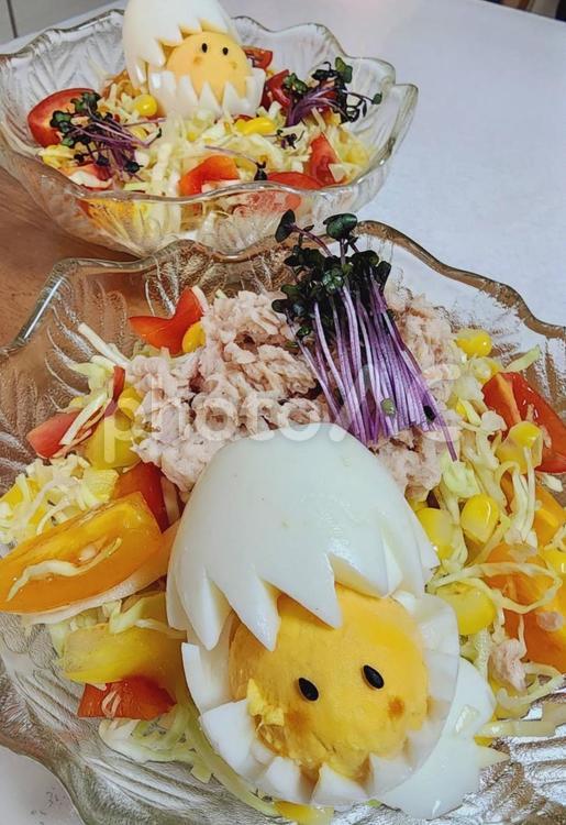 サラダ サラダ,ひよこ,ゆで卵の写真素材
