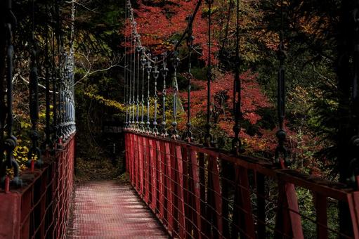 紅葉のべふ峡（別府峡谷の赤い吊橋）の写真