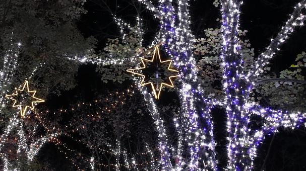 虹の郷　イルミネーション イルミネーション,クリスマス,夜景の写真素材