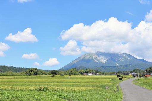 夏の貝田集落 2 夏の貝田集落 2の写真