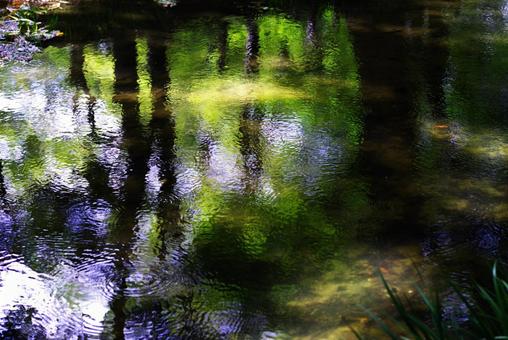 水面のアート 水面のアートの写真
