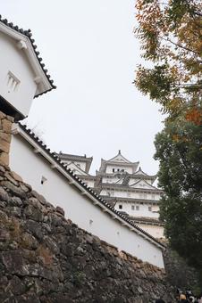 姫路城 姫路城 姫路城,秋,城の写真素材