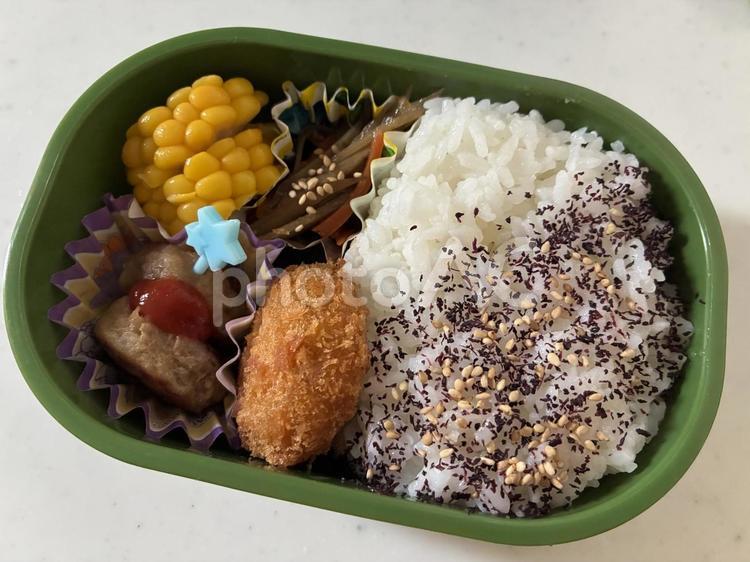 茶色おかず弁当 弁当,子ども弁当,ハンバーグの写真素材