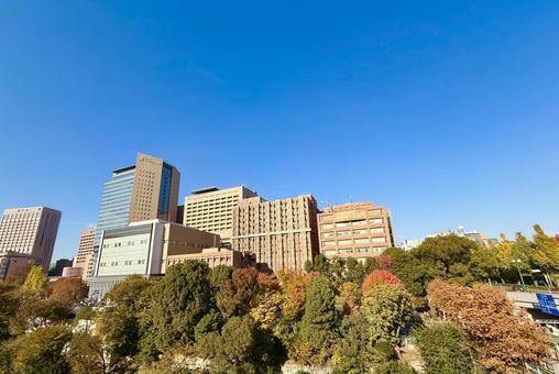 御茶ノ水のスカイラインと紅葉の絶景 青空,空,ブルースカイの写真素材
