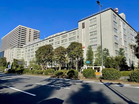 快晴の中央合同庁舎第1号館 快晴の中央合同庁舎第1号館 農林水産省,水産庁,林野庁の写真素材
