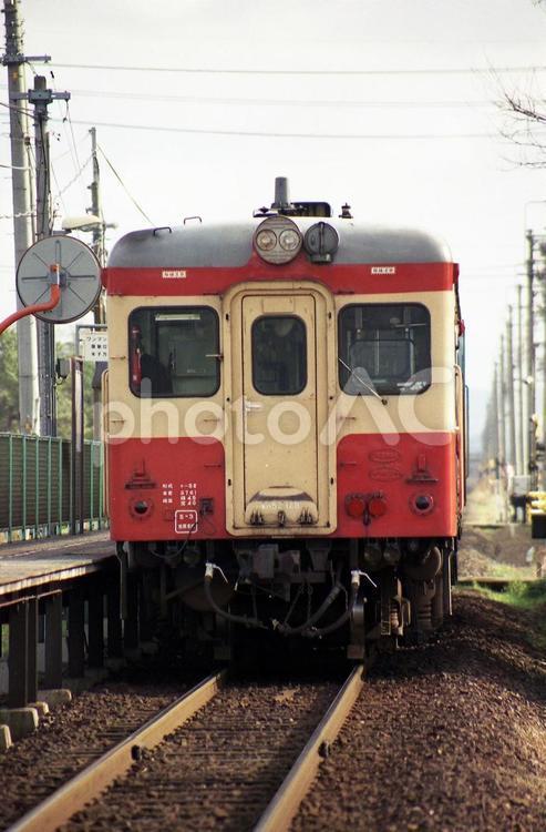 キハ52　境線　フィルム写真 鉄道,ディーゼルカー,汽車の写真素材
