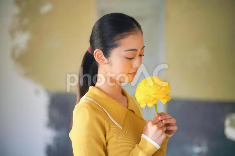 黄色のお花を見ている女性 女性,ポートレート,黄色の写真素材