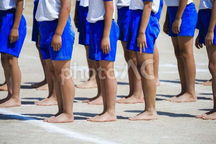 整列する小学生 人物,こども,運動会の写真素材