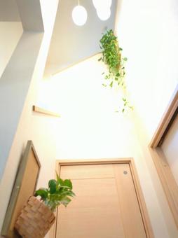 観葉植物 玄関〜吹き抜け 吊り下げ 観葉植物 玄関〜吹き抜け 吊り下げ 観葉植物,飾り付け,飾付の写真素材