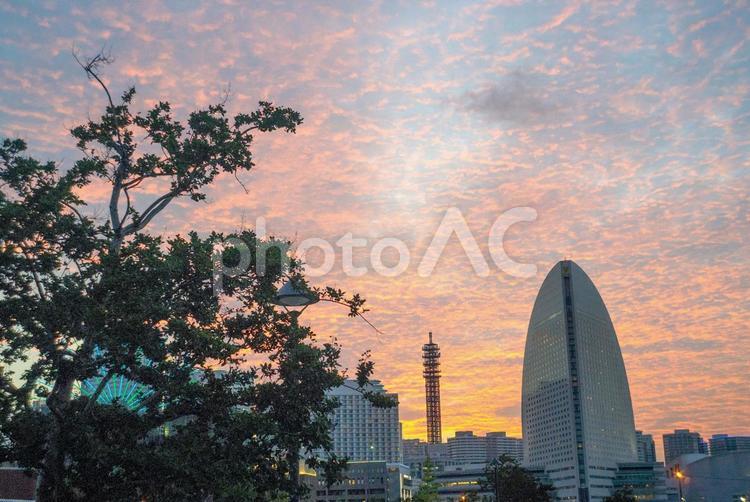 横浜街散歩 みなとみらい,夕焼け,うろこ雲の写真素材