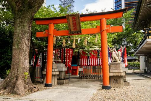 Osaka Namba Shrine Hakuro Inari Shrine, JPG Osaka Namba Shrine Hakuro Inari Shrine, JPG