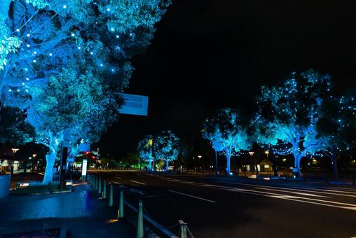 【兵庫】姫路城前のイルミネーション 姫路城,姫路,城の写真素材